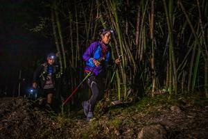 BIB: 
                            <button type="button" onclick="openModal(6943169)" class="btn btn-primary btn-sm float-right btn-popup" data-toggle="modal" data-target=".modal-high-quality">
                        <i class="fas fa-shopping-cart"></i> Add to Cart
                    </button>
                                            <button type="button" onclick="isThisMe(6943169, true)" class="btn btn-success btn-sm float-right btn-popup btn-isme hidden" data-toggle="tooltip" data-placement="bottom" title="นี่คือรูปของคุณใช่ไหม คลิกที่นี่เพื่อเอาเข้าอัลบั้ม">
                        <i class="fas fa-plus"></i> Add to album
                    </button>
                    <button type="button" onclick="isThisMe(6943169, false)" class="btn btn-warning btn-sm float-right btn-popup btn-isnotme hidden">
                        <i class="fas fa-ban"></i> Remove from album
                    </button>